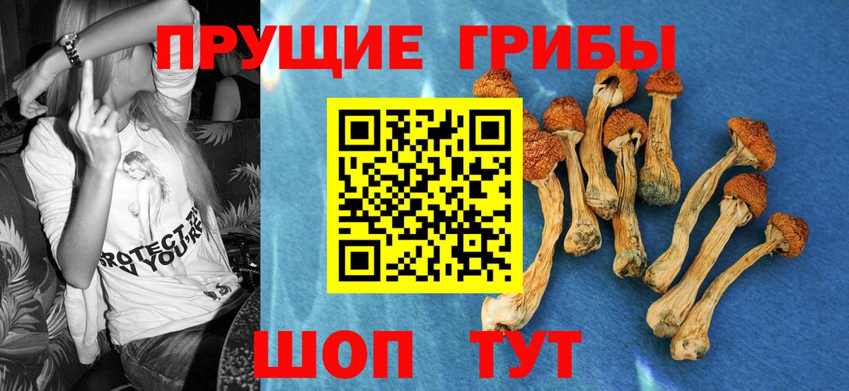 Псилоцибиновые грибы Magic Shrooms  Вход с VPN  Арзамас 