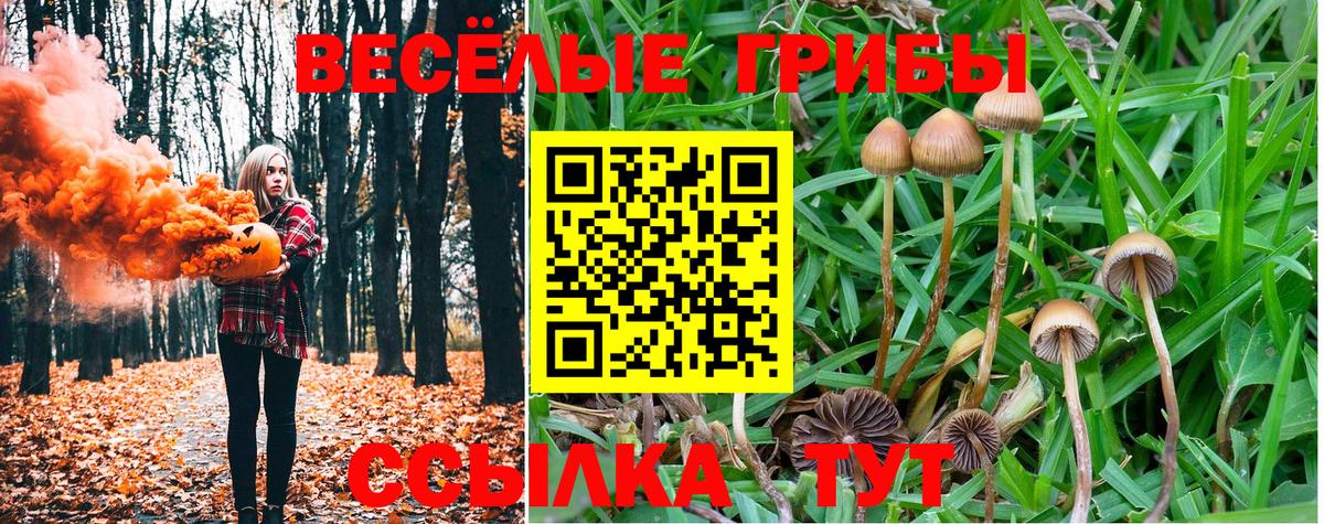 Галлюциногенные грибы мухоморы Арзамас